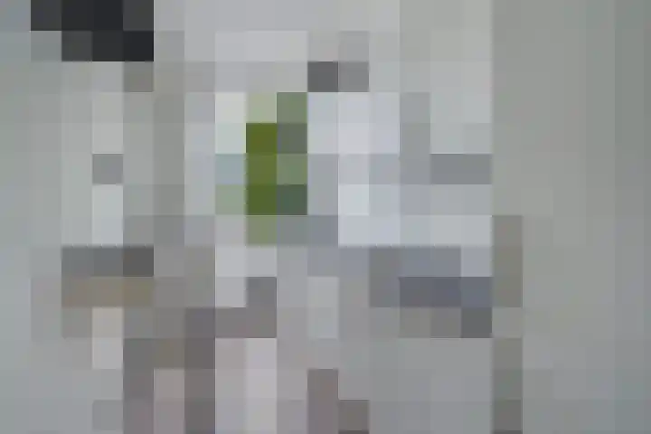 Troelstrakade 113 Den Haag thumbnail 21