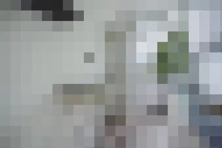 Troelstrakade 113 Den Haag thumbnail 23