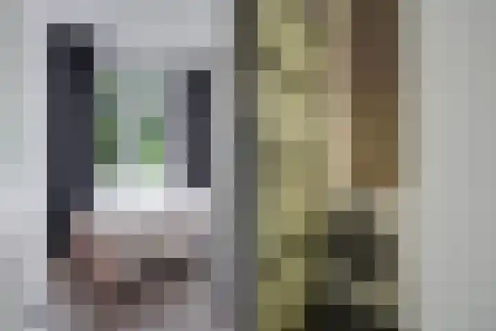Troelstrakade 113 Den Haag thumbnail 37