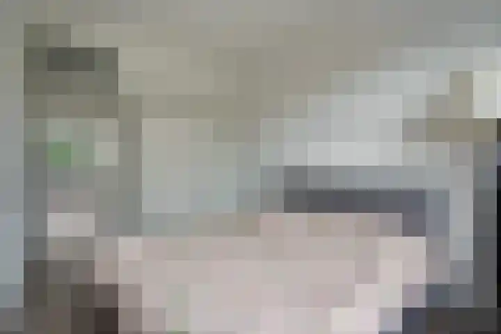 Troelstrakade 113 Den Haag thumbnail 5