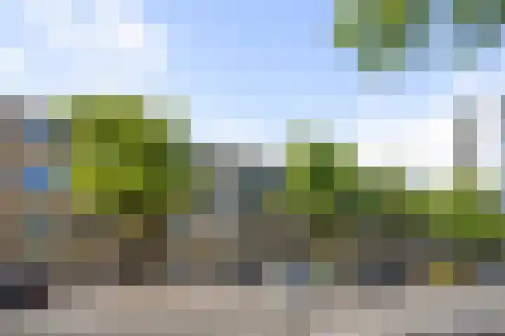 Troelstrakade 113 Den Haag thumbnail 6
