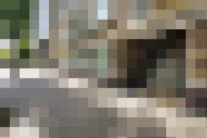 Troelstrakade 113 Den Haag thumbnail 9