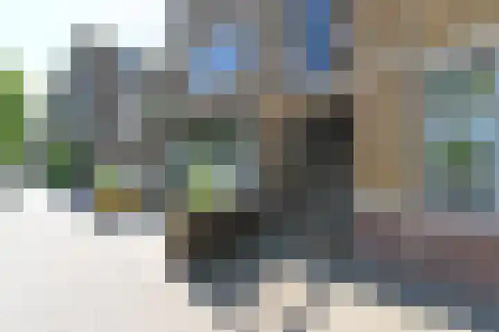 Troelstrakade 137 Den Haag thumbnail 26