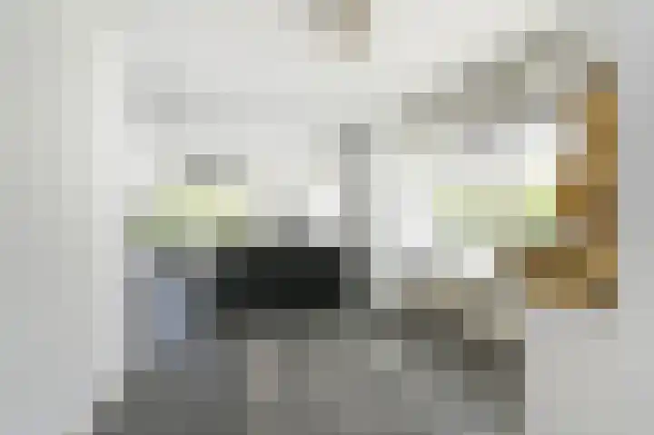 Troelstrakade 137 Den Haag thumbnail 7