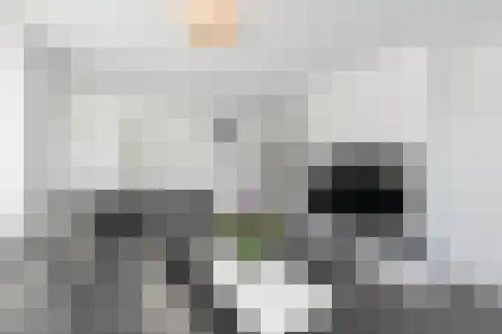Troelstrakade 137 Den Haag thumbnail 9
