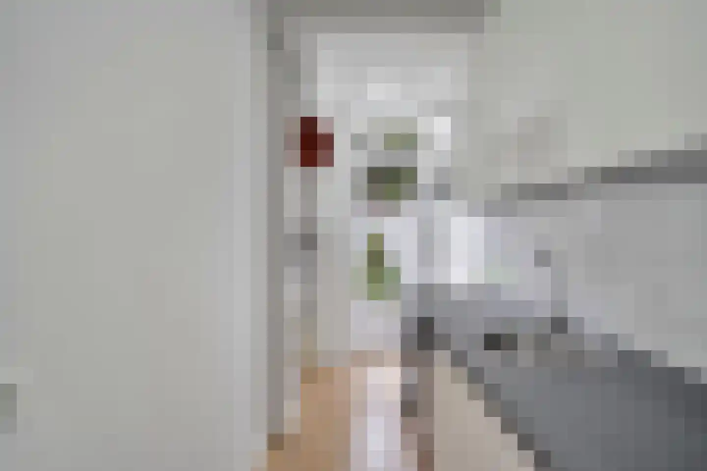 Troelstrakade 191 Den Haag thumbnail 8