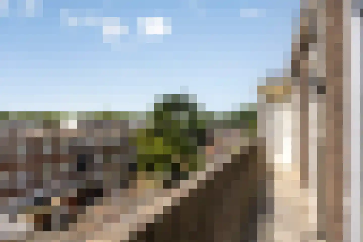 Troelstrakade 219 Den Haag thumbnail 20