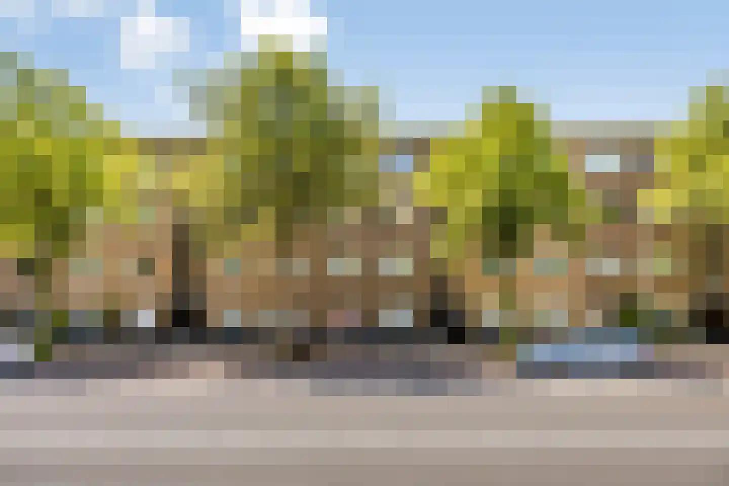 Troelstrakade 219 Den Haag thumbnail 27