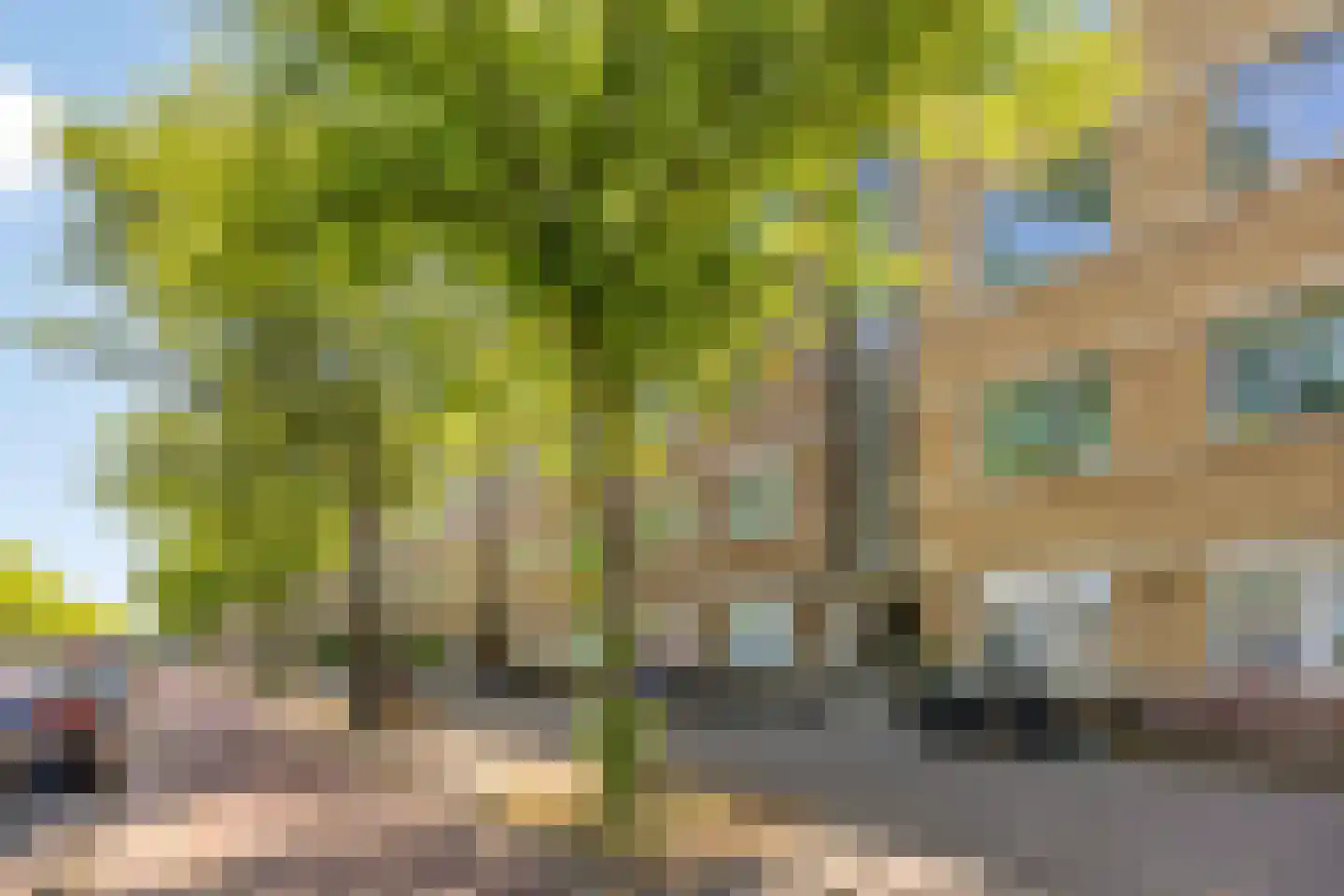 Troelstrakade 219 Den Haag thumbnail 29