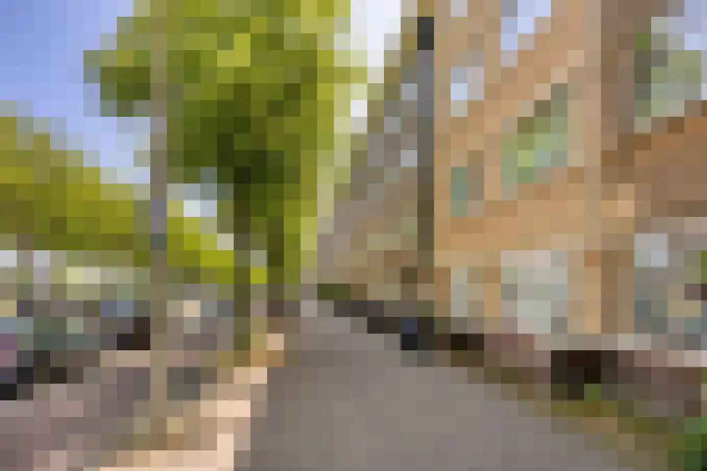 Troelstrakade 219 Den Haag thumbnail 30