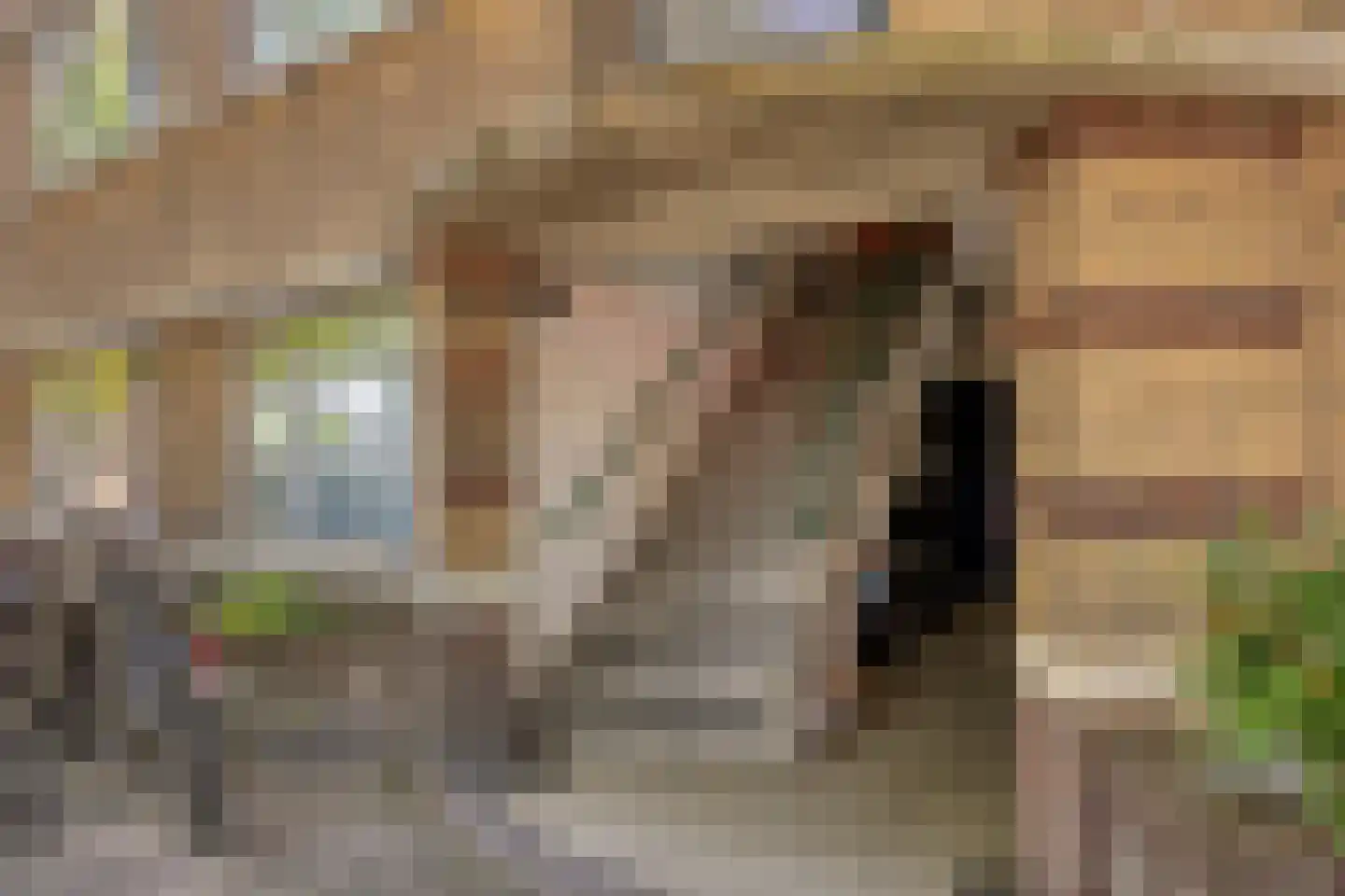 Troelstrakade 219 Den Haag thumbnail 31