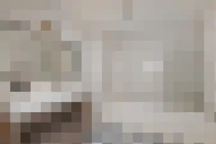 Troelstrakade 23 B Den Haag thumbnail 16