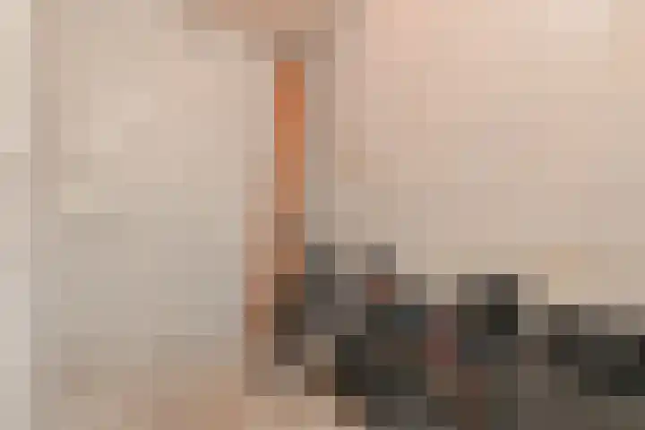 Troelstrakade 23 B Den Haag thumbnail 29