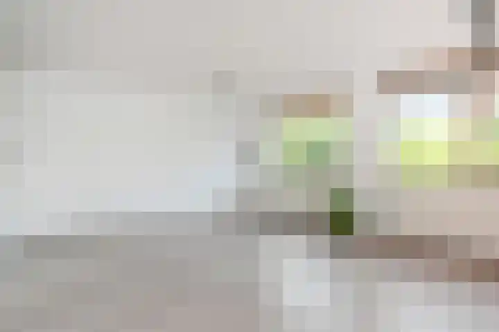 Troelstrakade 23 B Den Haag thumbnail 5