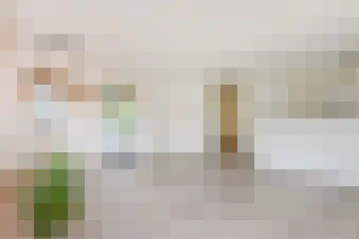 Troelstrakade 23 B Den Haag thumbnail 7