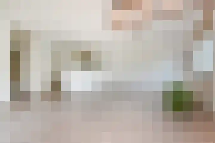 Troelstrakade 23 B Den Haag thumbnail 8