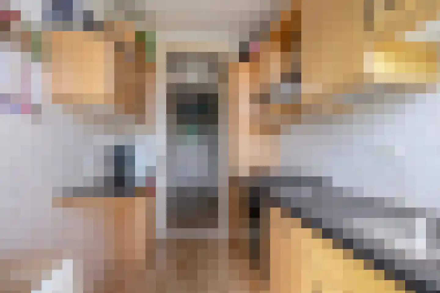 Troelstrakade 231 Den Haag thumbnail 20