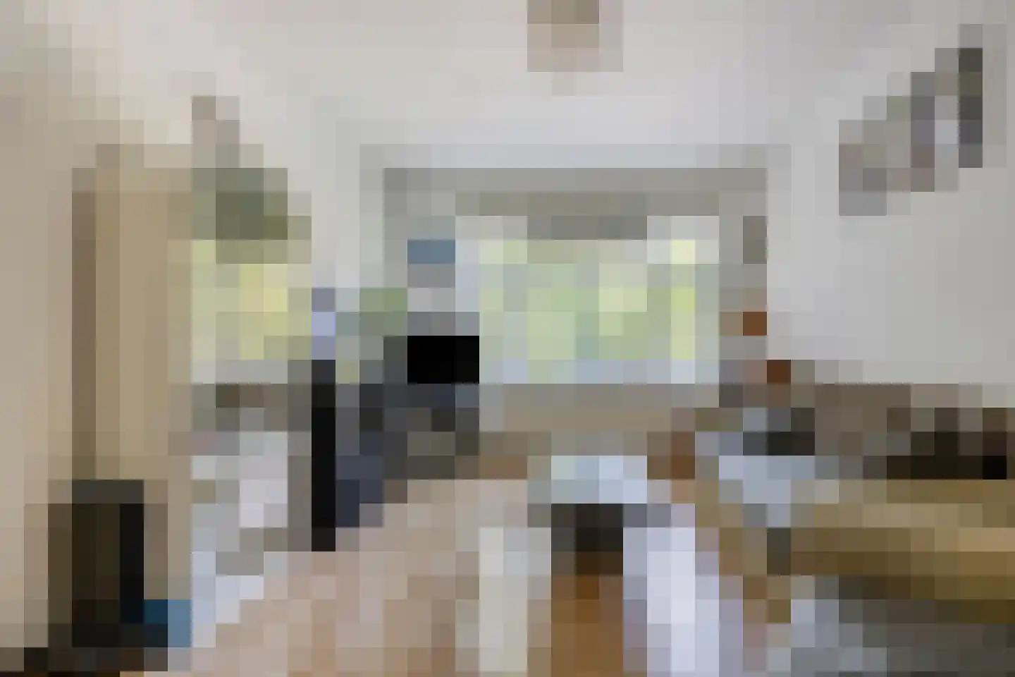 Troelstrakade 231 Den Haag thumbnail 4