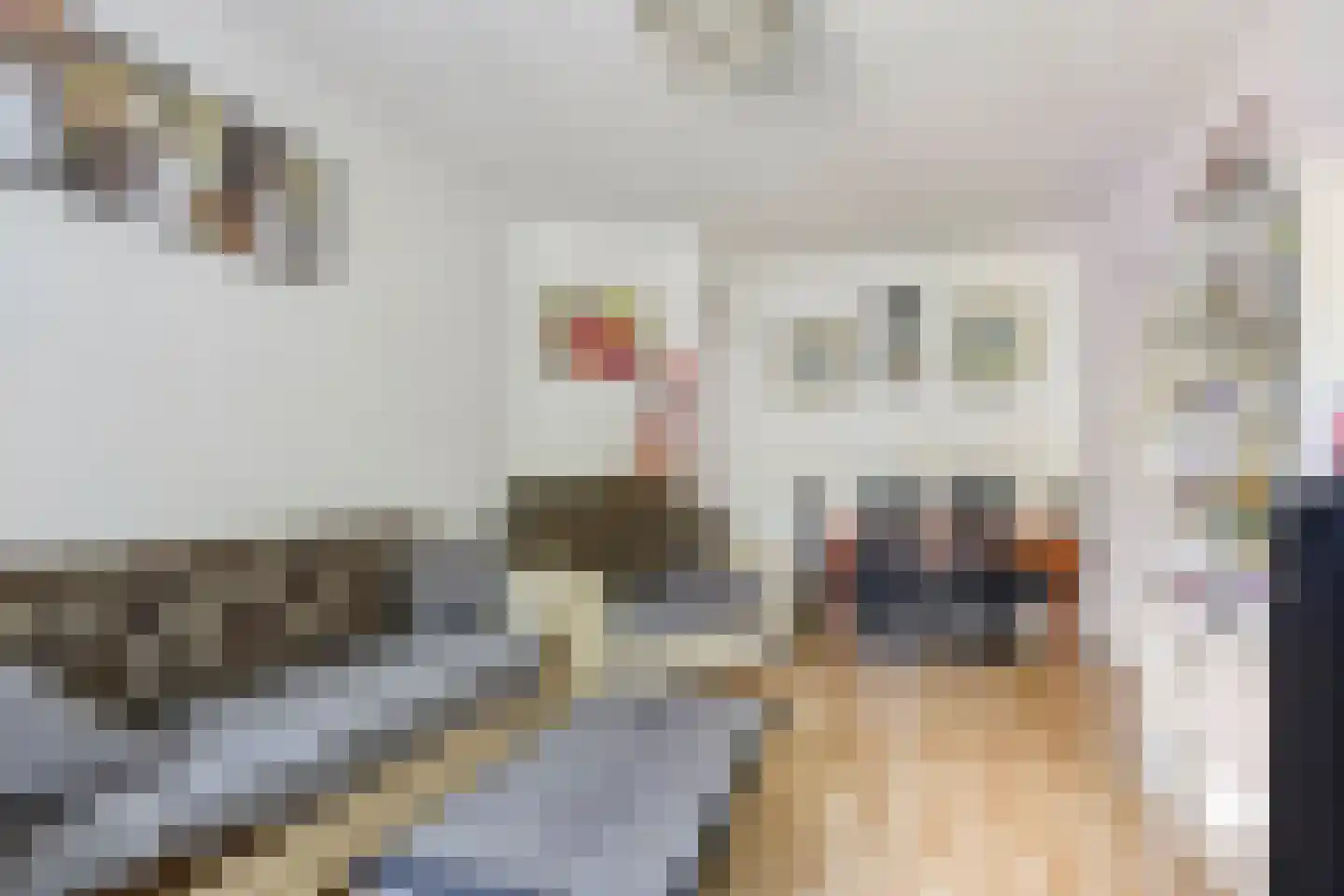 Troelstrakade 231 Den Haag thumbnail 6