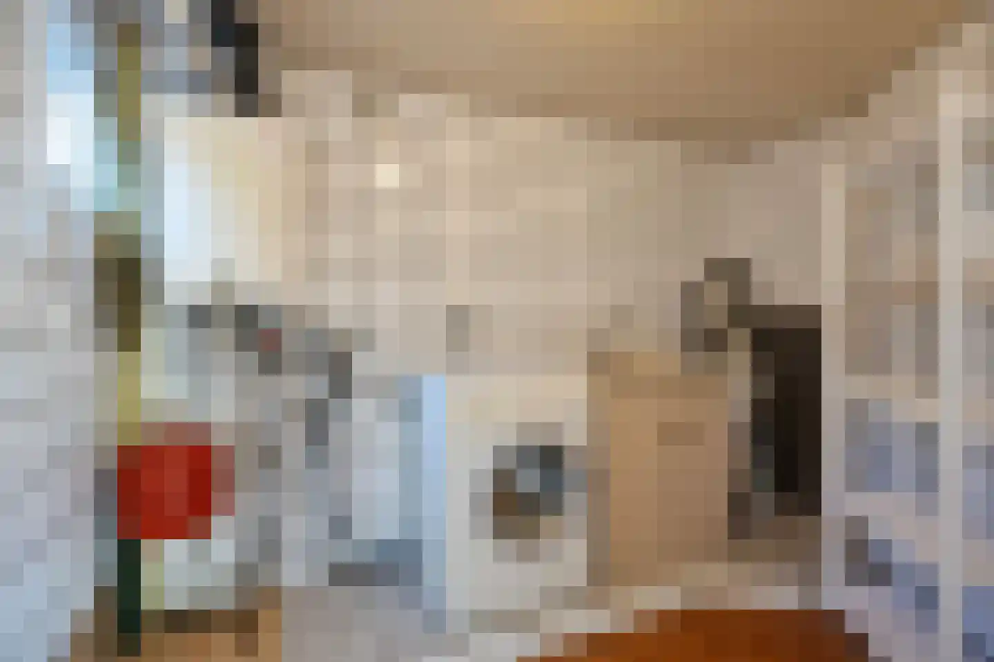 Troelstrakade 26 Den Haag thumbnail 23
