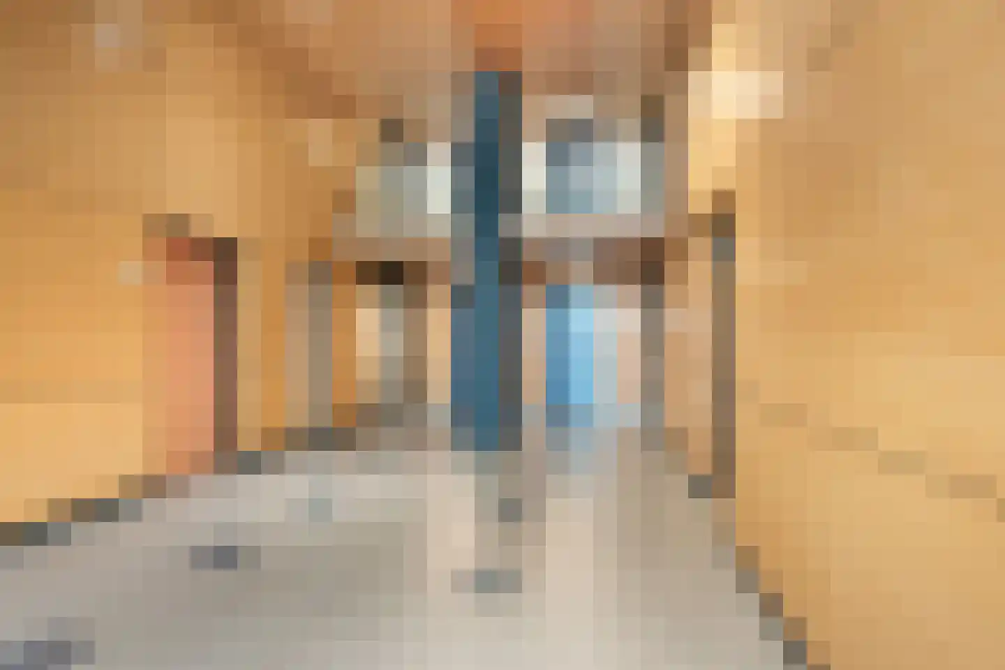 Troelstrakade 27 A Den Haag thumbnail 10