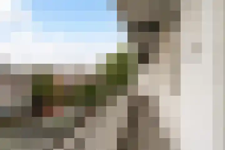 Troelstrakade 277 Den Haag thumbnail 19
