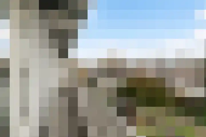 Troelstrakade 277 Den Haag thumbnail 21