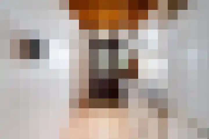 Troelstrakade 277 Den Haag thumbnail 9