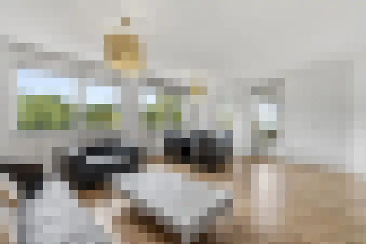 Troelstrakade 31 A Den Haag thumbnail 11