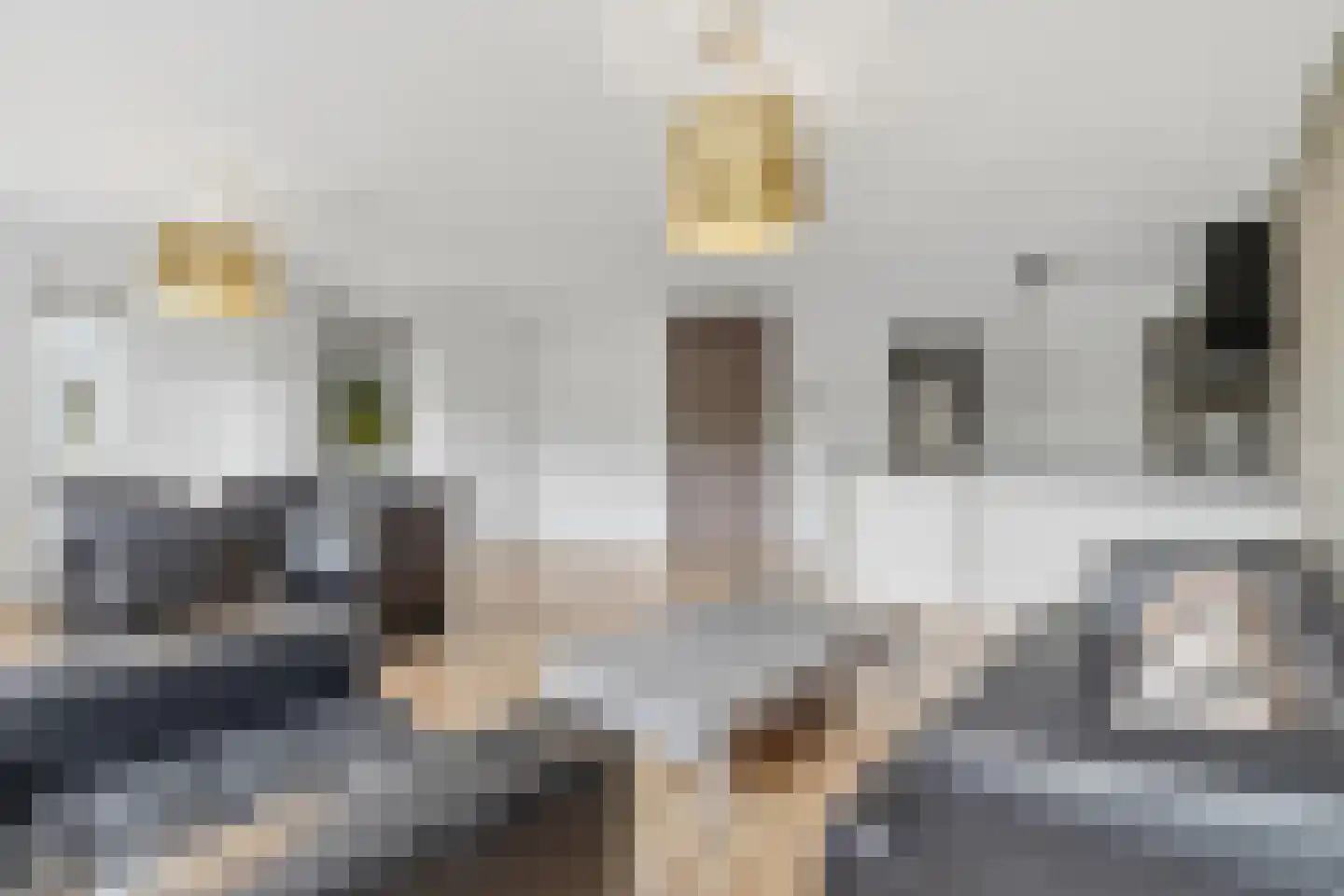 Troelstrakade 31 A Den Haag thumbnail 12