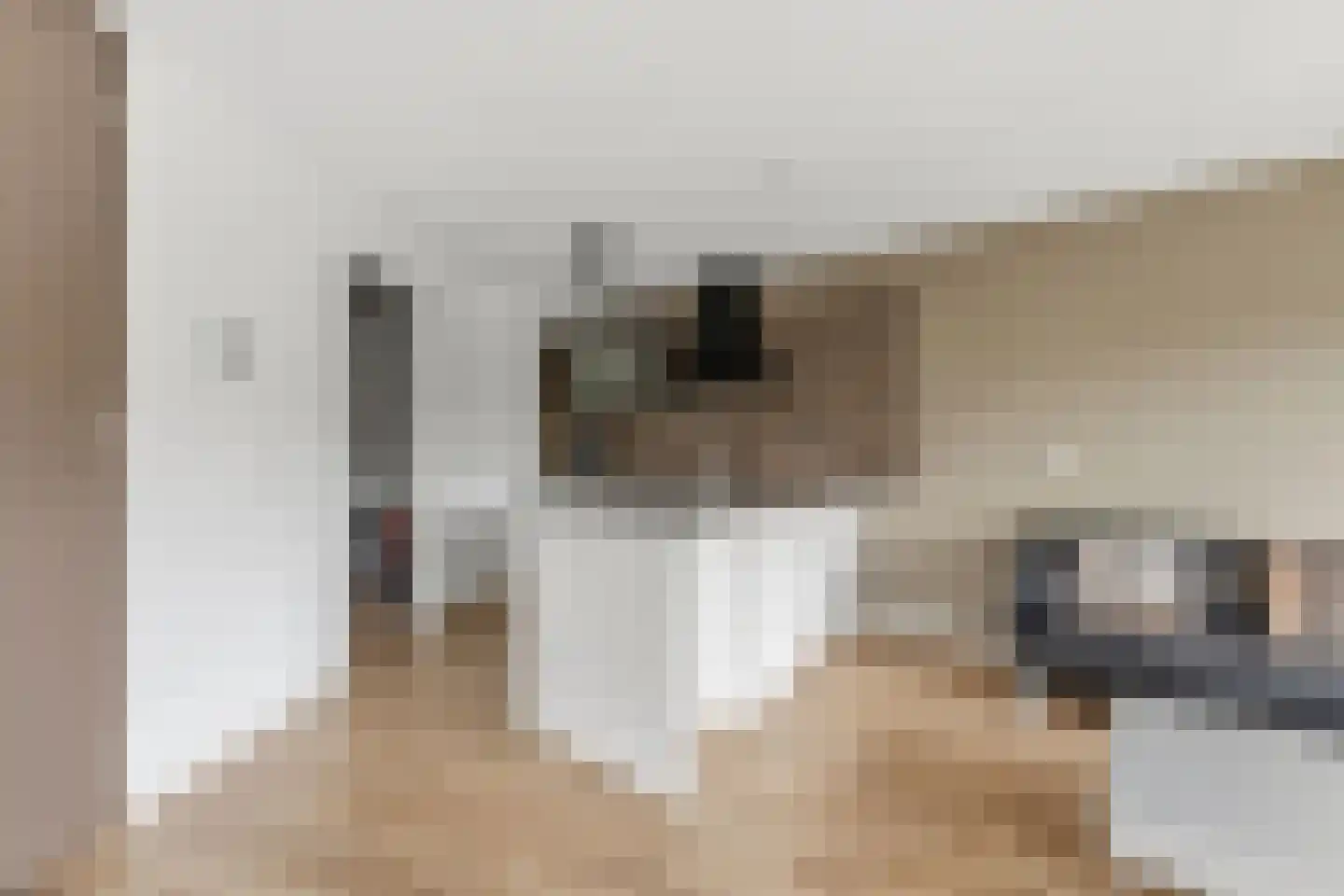 Troelstrakade 31 A Den Haag thumbnail 7