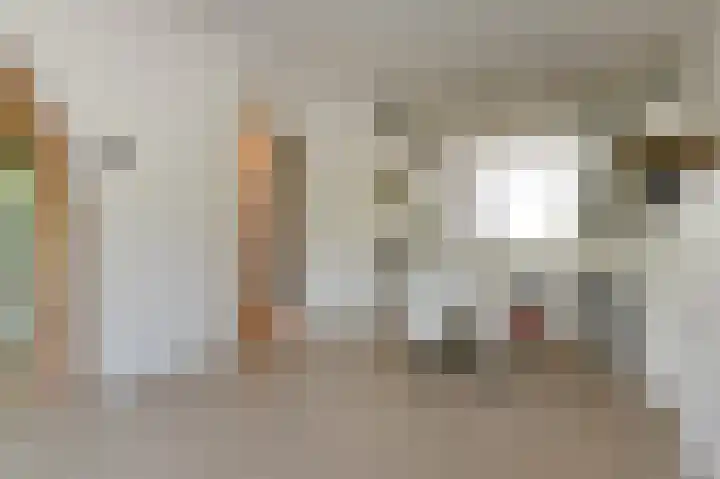 Troelstrakade 343 Den Haag thumbnail 12
