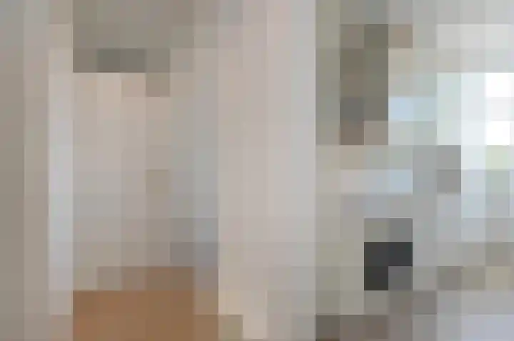 Troelstrakade 343 Den Haag thumbnail 15
