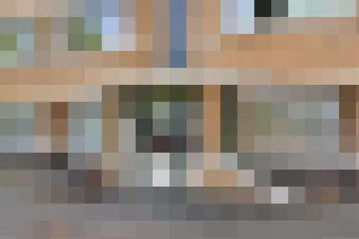 Troelstrakade 343 Den Haag thumbnail 37