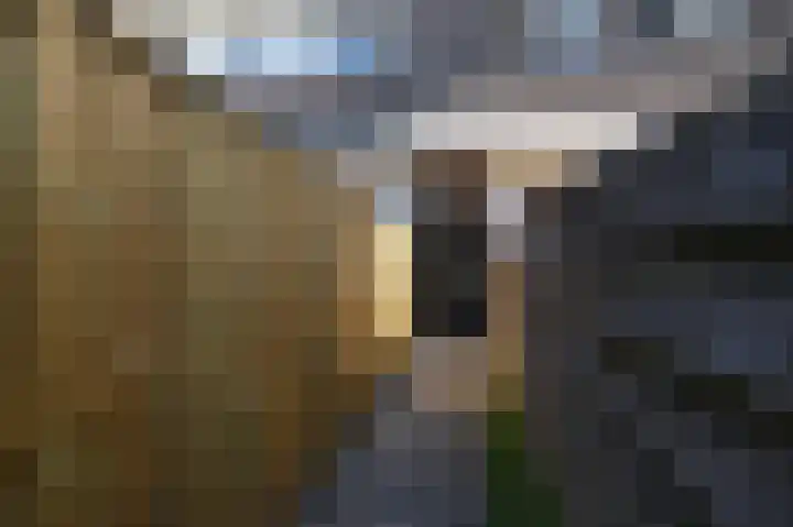 Troelstrakade 343 Den Haag thumbnail 41