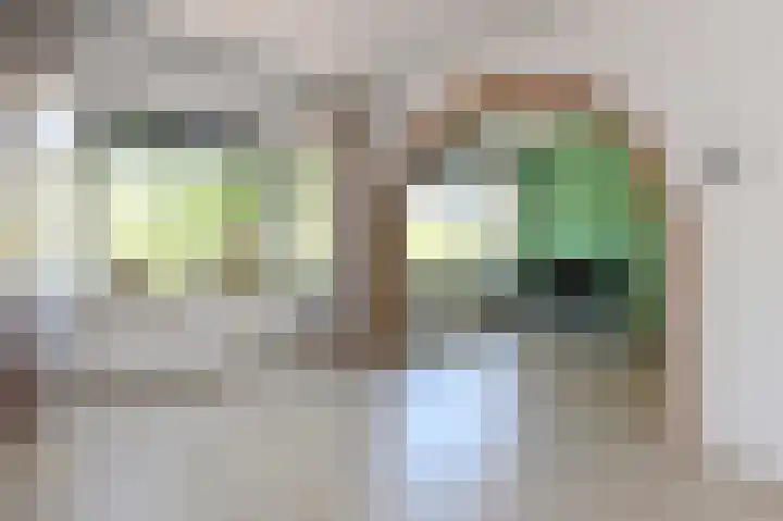 Troelstrakade 343 Den Haag thumbnail 5