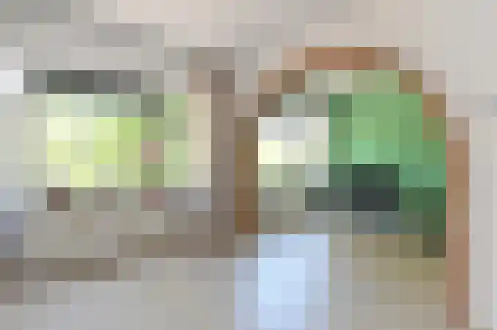 Troelstrakade 343 Den Haag thumbnail 6
