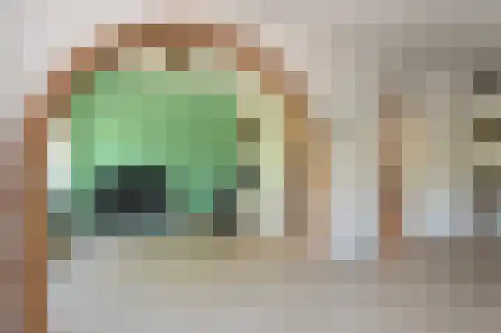 Troelstrakade 343 Den Haag thumbnail 9