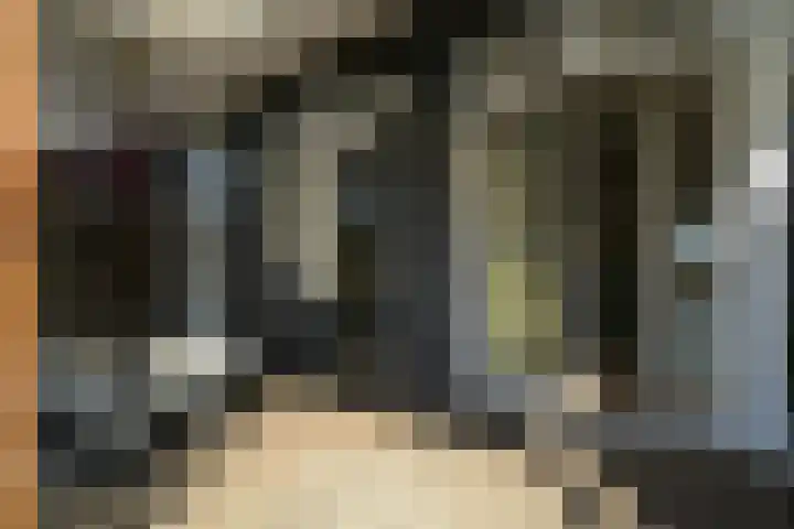 Troelstrakade 351 Den Haag thumbnail 33