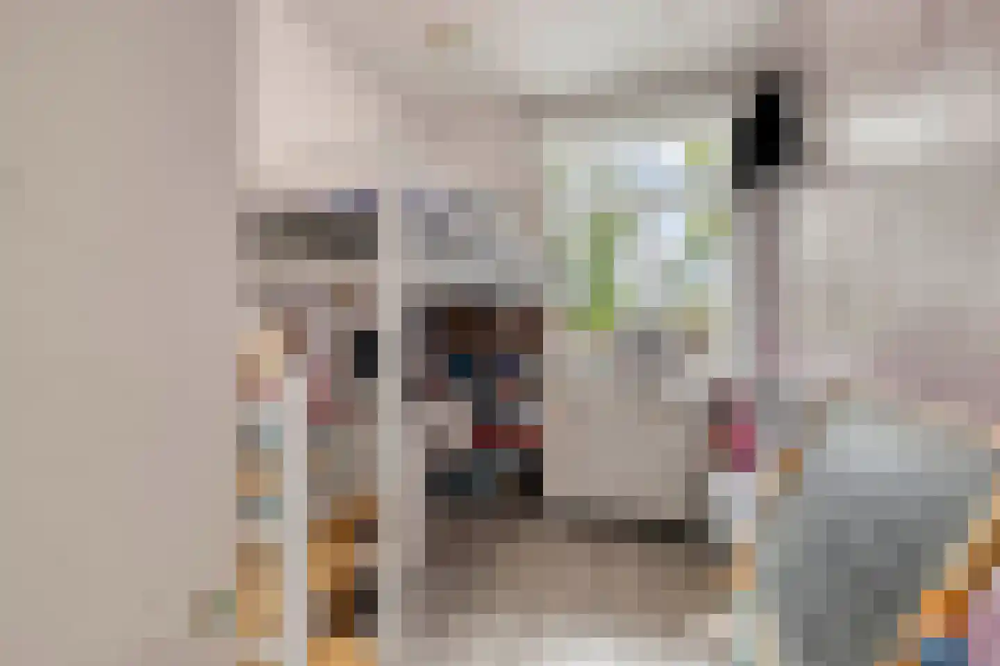 Troelstrakade 359 Den Haag thumbnail 18