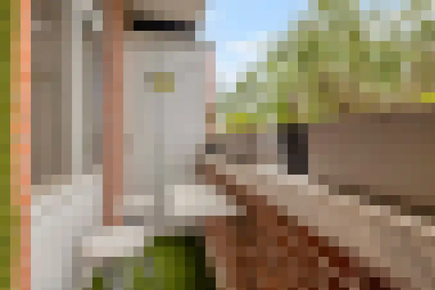 Troelstrakade 359 Den Haag thumbnail 22