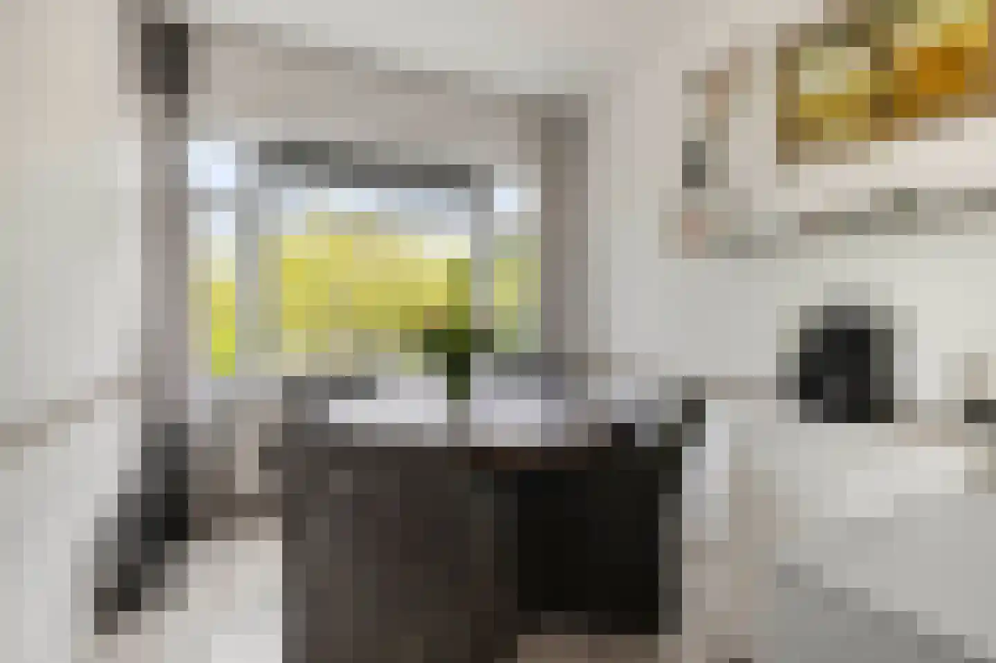 Troelstrakade 359 Den Haag thumbnail 9