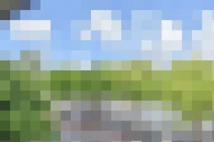 Troelstrakade 37 Den Haag thumbnail 33