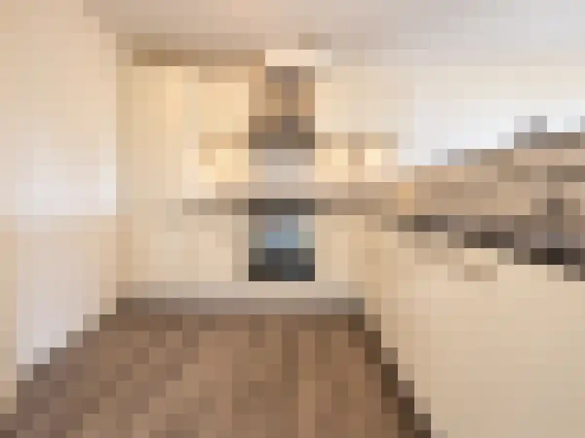 Troelstrakade 39 A Den Haag thumbnail 4