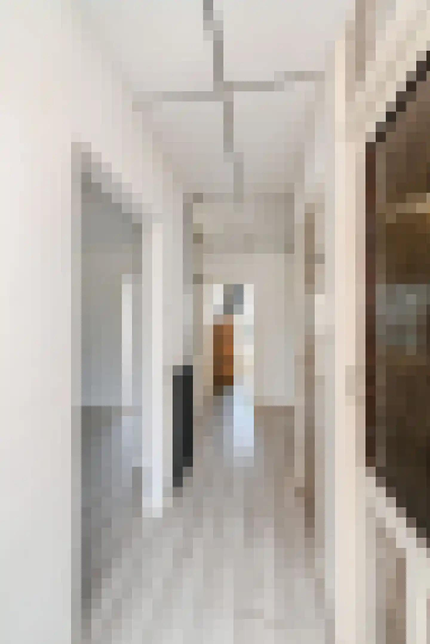 Troelstrakade 409 Den Haag thumbnail 8