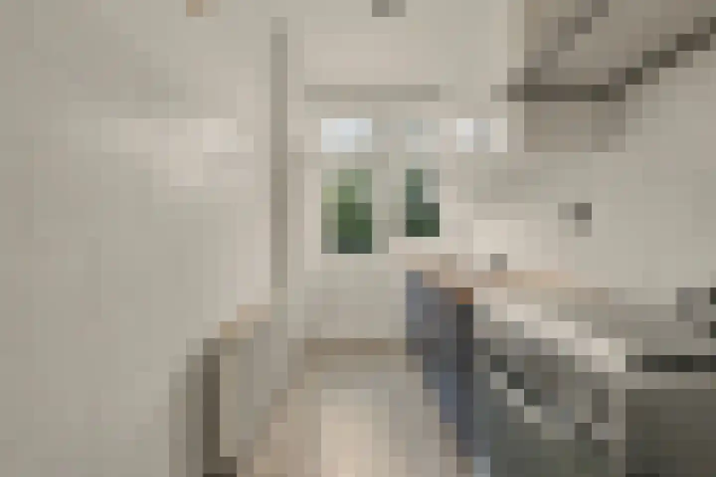 Troelstrakade 433 Den Haag thumbnail 17