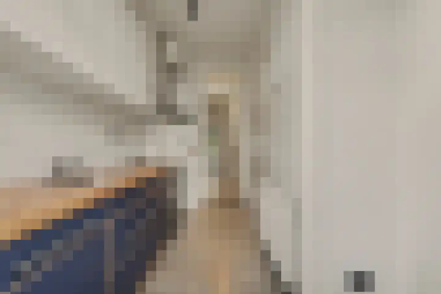 Troelstrakade 433 Den Haag thumbnail 18