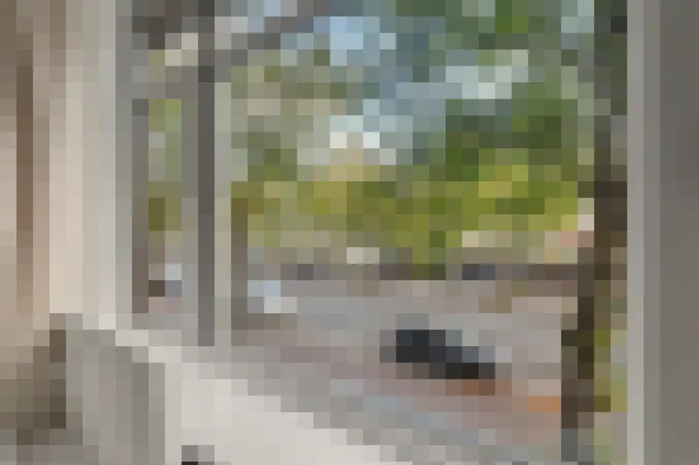 Troelstrakade 433 Den Haag thumbnail 23