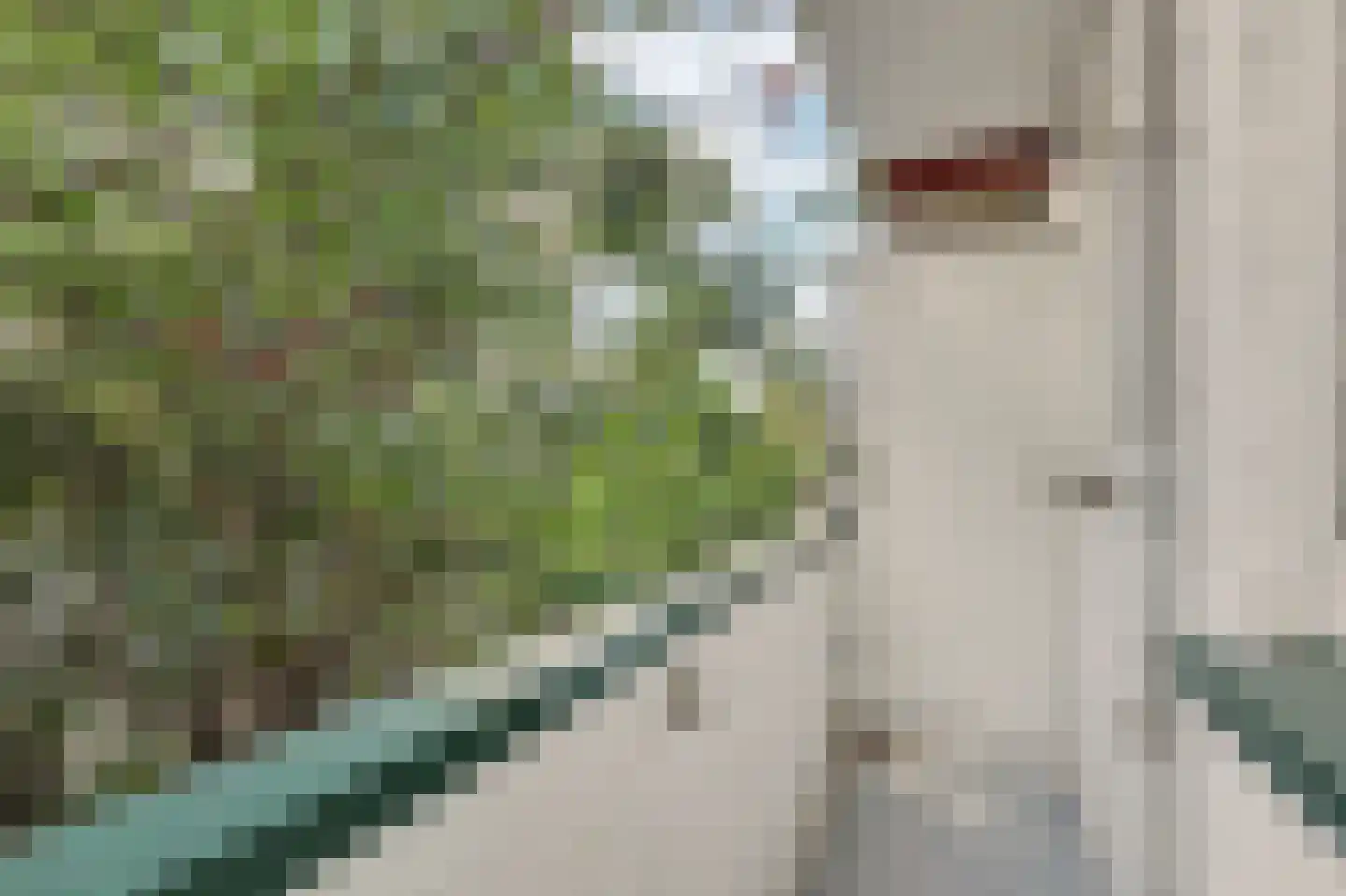Troelstrakade 433 Den Haag thumbnail 31