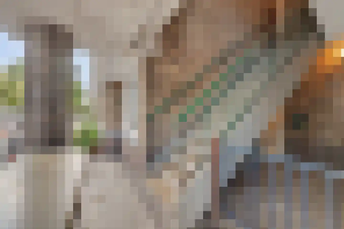 Troelstrakade 433 Den Haag thumbnail 8